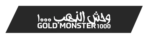 Düzce Minelab Gold Monster 1000 - Gold Monster 1000 küçük altın dedektörü